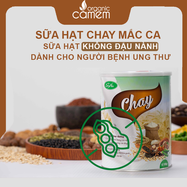  [MUA 1 TẶNG 1] Sữa chay soyna - Sữa chay cao cấp soyna - Sữa hạt cho người ăn chay - sữa thuần chay soyna 