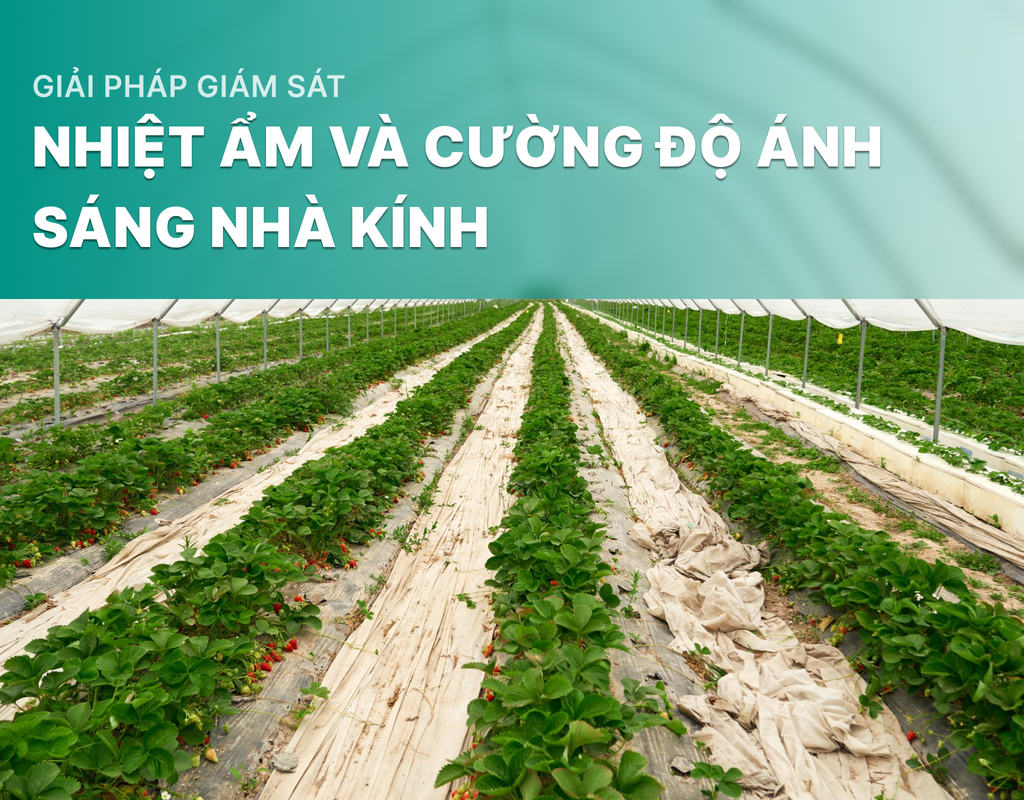Giải pháp giám sát nhiệt ẩm và cường độ ánh sáng nhà kính