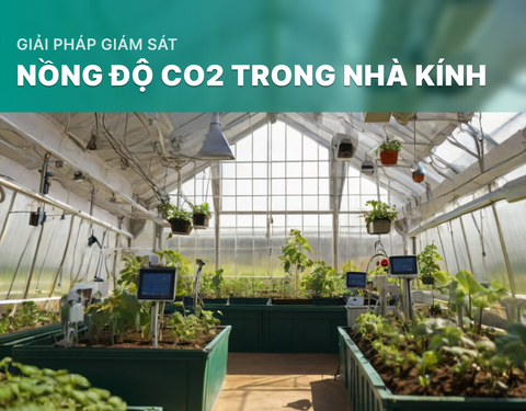 Giải pháp giám sát nồng độ CO2 trong nhà kính
