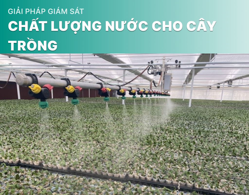 Giải Pháp Giám Sát Chất Lượng Nước Cho Cây Trồng