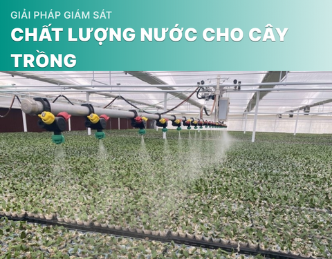 Giải Pháp Giám Sát Chất Lượng Nước Cho Cây Trồng