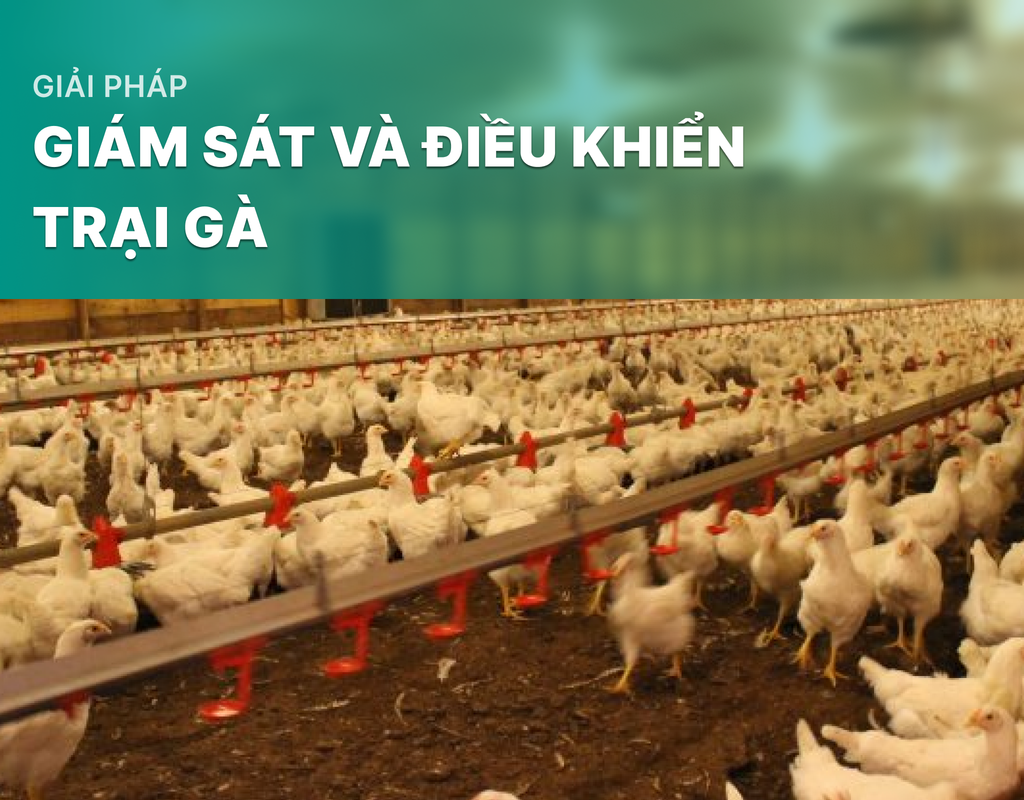 Giải pháp giám sát và điều khiển trại gà