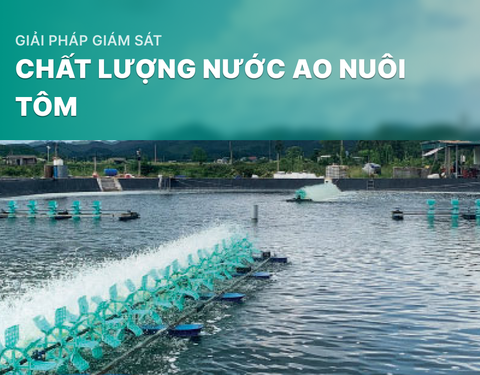 Giải pháp giám sát chất lượng nước ao nuôi tôm