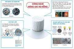Máy lọc nước ion kiềm điện giải FUJI SMART P8 - 11 tấm điện cực