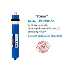 Màng RO CMS Daikiosan Đại Việt  công suất lọc 20L/h