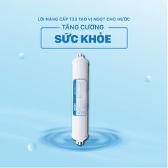 [GIÁ RẺ VÔ ĐỊCH] LÕI KHOÁNG T33 THAN HOẠT TÍNH GÁO DỪA CHÍNH HÃNG ĐẠI VIỆT - CÚT NỐI NHANH DAIKIOSAN VÀ MAKANO