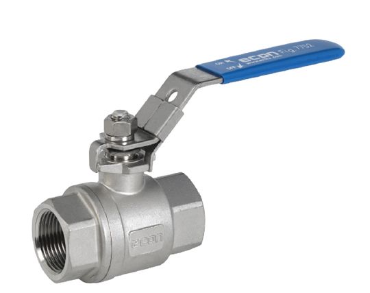 Van bi ren Econ 1WE52 - 2- PC, Economy, NPT 1000# WOG, Full Port