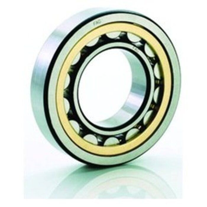 Bearing FAG NU319EM1C3