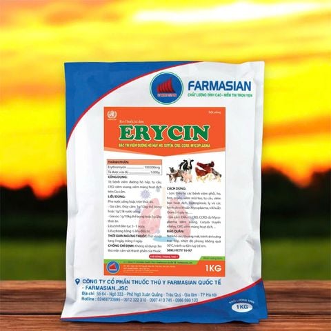  ERYCIN (1KG) 
