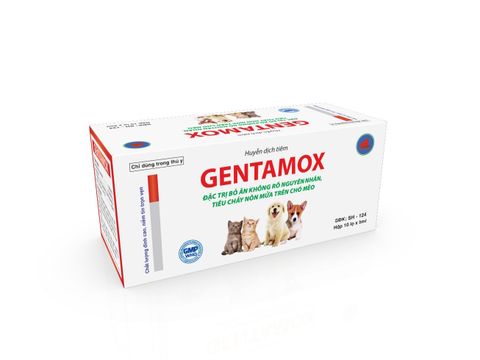  GENTAMOX-KHÁNG SINH CHÓ MÈO 