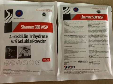  Shamox 500 WSP - 100G 