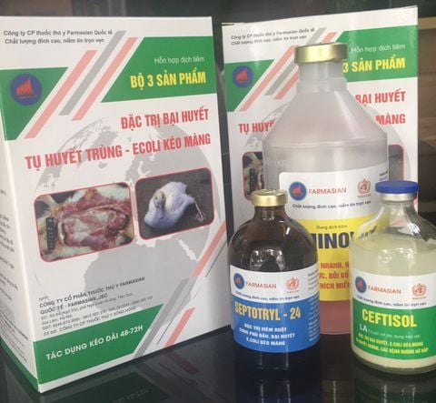  BỘ 3 SẢN PHẨM TIÊM VỊT 