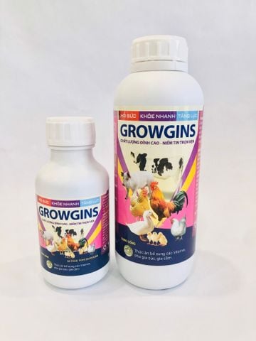  GROWGINS  ( Hồi sức, khỏe nhanh, tăng lực) 