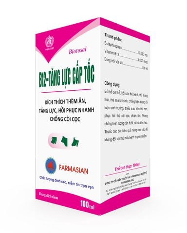  B12-TĂNG LỰC CẤP TỐC (Kích thích thèm ăn, tăng lực, hồi phục nhanh, chống còi cọc) 