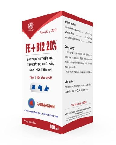  FE +B12 20% 