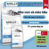 Thức ăn hạt cho mèo Molly dành cho mèo con và mèo bầu vị thịt gà Túi 2kg