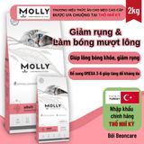 Thức ăn hạt Molly giúp lông bóng mượt, giảm xơ rụng túi 2KG