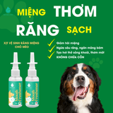Xịt răng miệng chó mèo