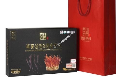 Cao Sâm Đông Trùng Korean Black Ginseng Silkworm Mushroom Sap Hàn Quốc