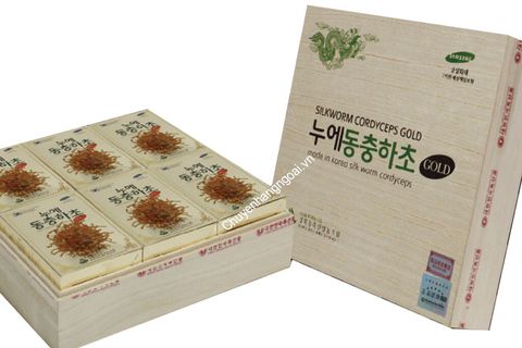 Đông Trùng Hạ Thảo Dạng Nước Silkworm Cordyceps Gold Hàn Quốc