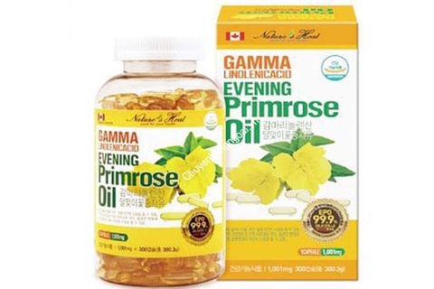 Tinh Dầu Hoa Anh Thảo Gama Linolenicacid Evening Primrose Oil Hàn Quốc