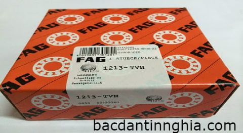 Bạc đạn vòng bi 1213-TVH FAG 1213