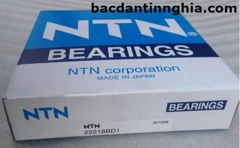 22218 NTN