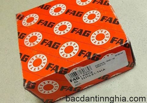 22310 E1 FAG