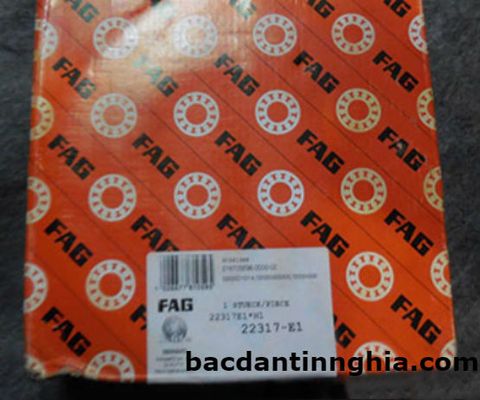 Bạc đạn vòng bi 22317 E1 FAG 85*180*60 mm