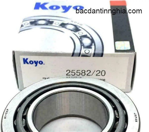 25582/25520 KOYO