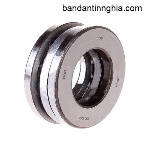 51306 FAG