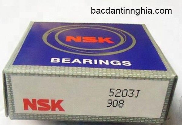 5203 NSK