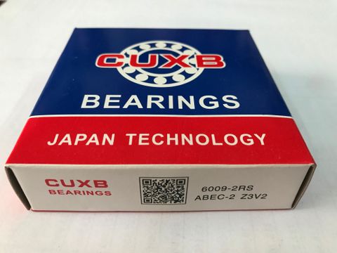 6009 2RS CUXB