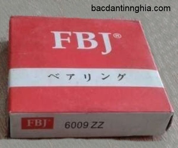 6009-ZZ FBJ
