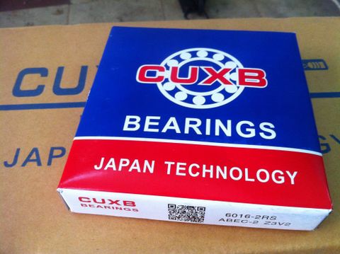 6016-2RS CUXB