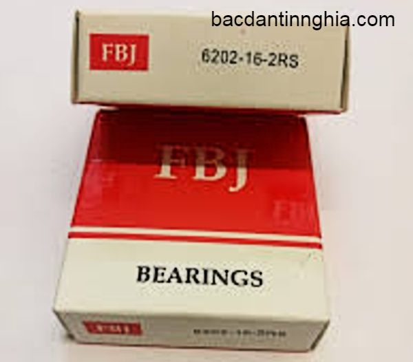 6202-16-2RS FBJ