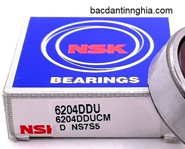 6204DDU NSK