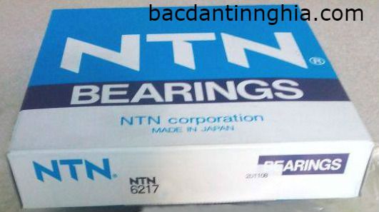 6217 NTN