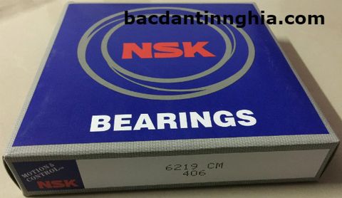 bac dan vong bi 6219 NSK