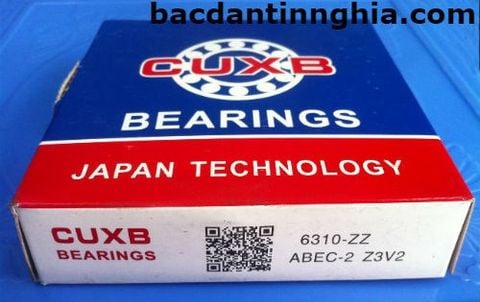 Bac dan 6310-ZZ CUXB