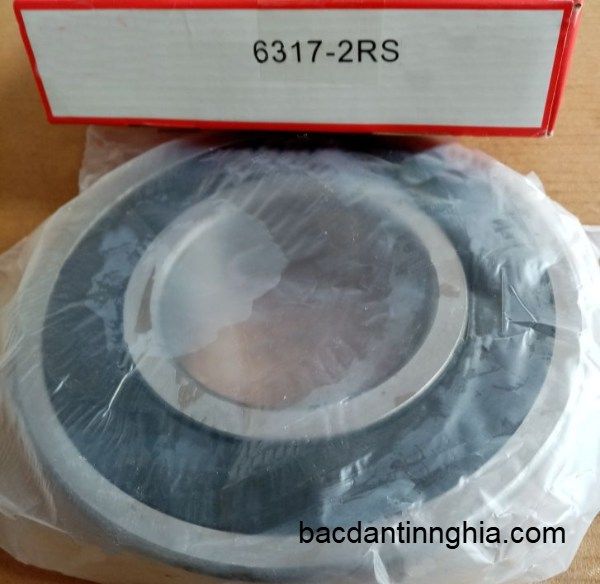 6317-2RS CUXB