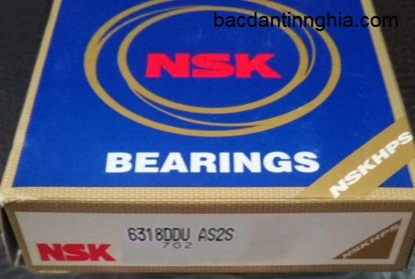 6318DDU NSK