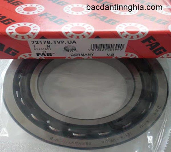 7217.B.TVP.UA FAG
