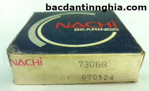 7306 NACHI