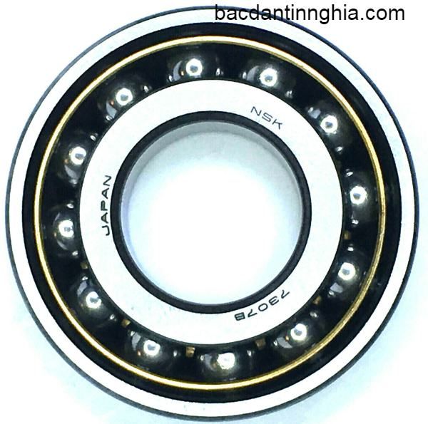 7307B NSK