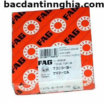 bac dan vong bi 7309 FAG