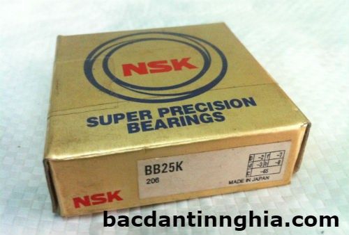 BB25K NSK