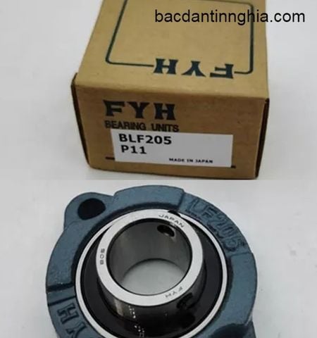 Bạc đạn vòng bi BLF205 FYH trục 25mm