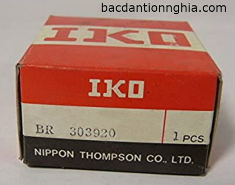 Bạc đạn vòng bi BR303920 IKO