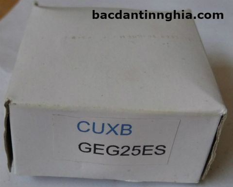 Bạc đạn vòng bi GEG25ES CUXB